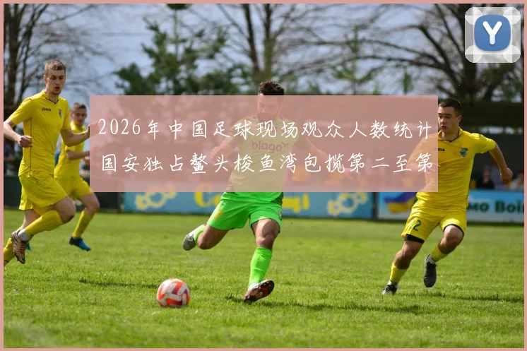 2026年中国足球现场观众人数统计国安独占鳌头梭鱼湾包揽第二至第七位